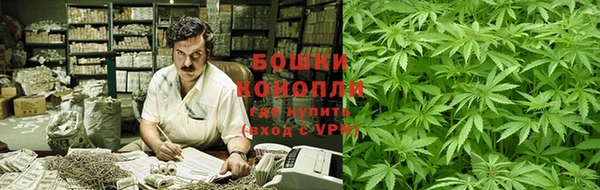 альфа пвп Заводоуковск